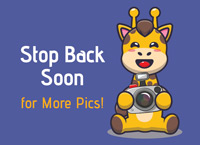 stop-back-for-pics-gir-bluex200