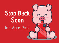 stop-back-for-pics-pig-redx200